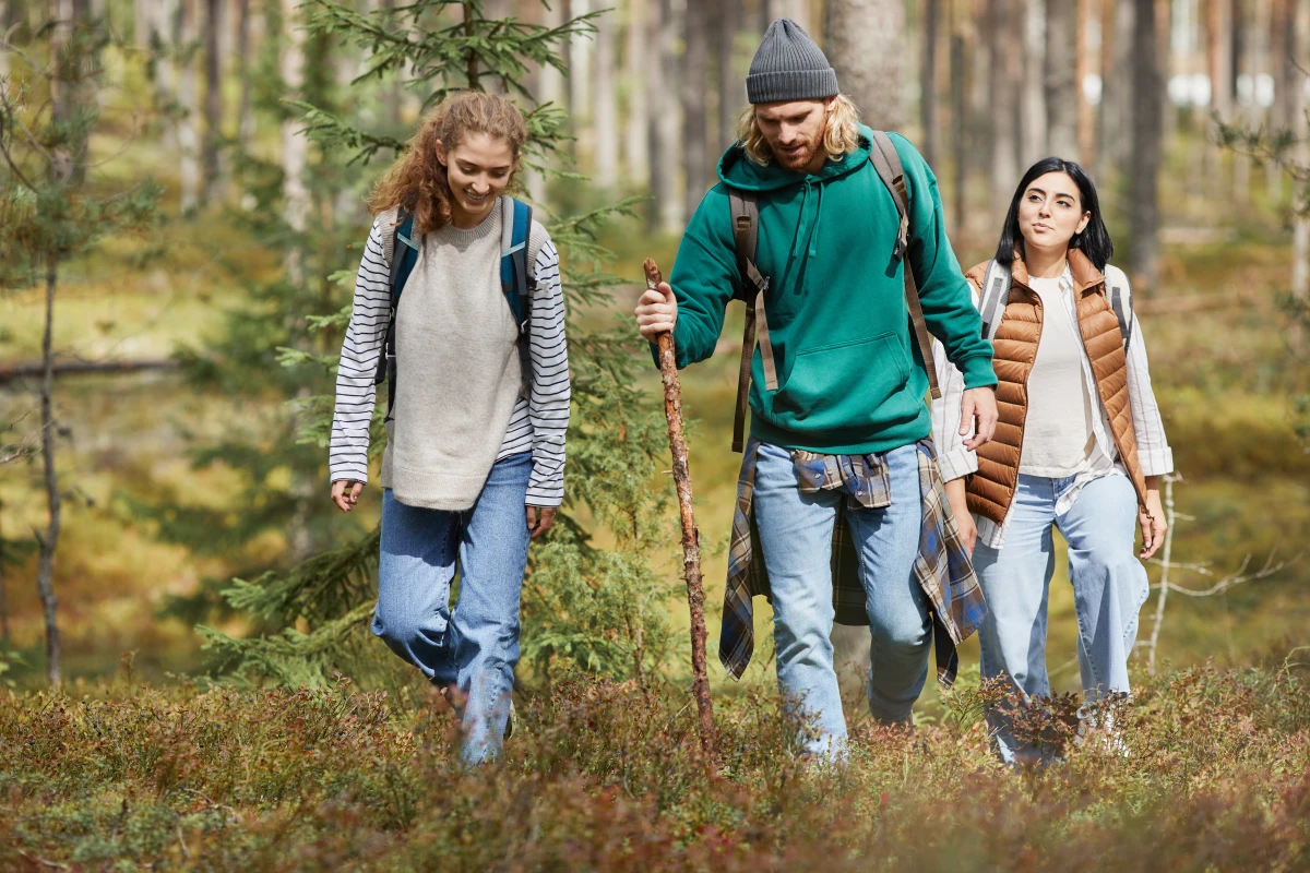 Le Droit de Préférence Forestier : Un Outil Méconnu pour Préserver nos Forêts